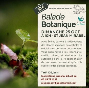 Balade botanique à Saint Jean Mirabel