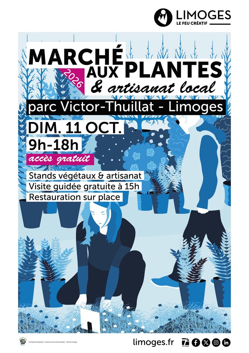 Marché aux plantes et artisanat local