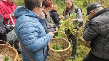 Cueillette et cuisine de plantes comestibles