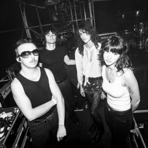 Dynamite Shakers