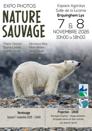 Expo photos nature sauvage