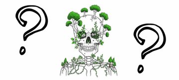 Quiz : Mort ou vivant ?