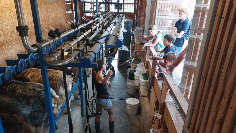Matinée famille à la ferme Bibane
