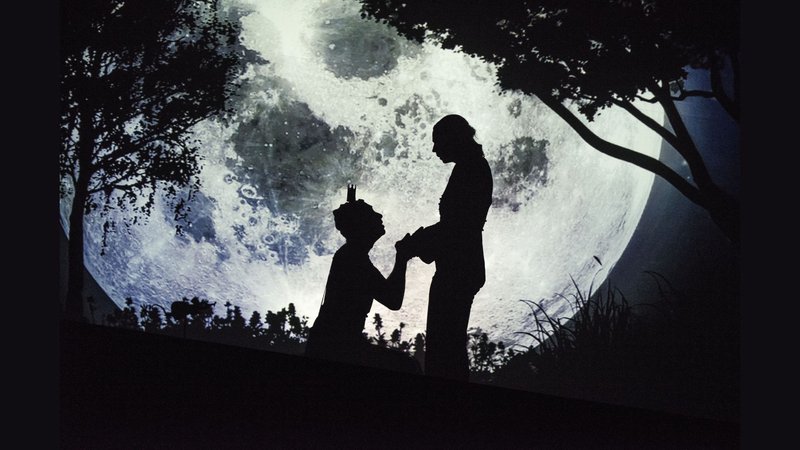 La princesse est le chevalier