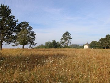 Balade « Découverte paysagère au plateau de Beauregard »