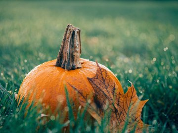 FÊTE DE L'AUTOMNE