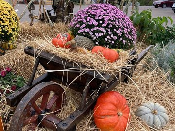 Soirée spéciale Halloween