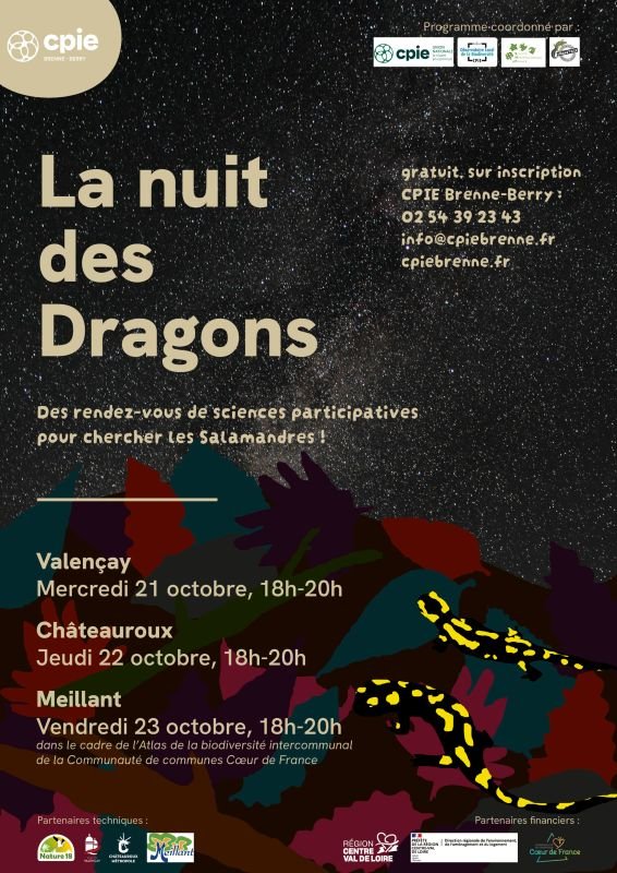 La nuit des dragons