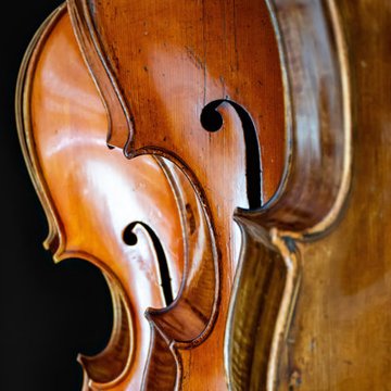 Les quatuors avec piano