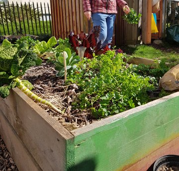 Hivernage du jardin de Dullin