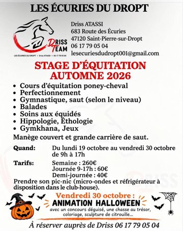 Stage équitation automne