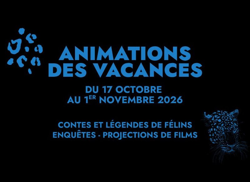 Animations des vacances d'octobre