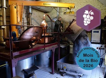 Vigne Bio Ouverte : A la découverte d'une distillerie engagée dans une démarche bio