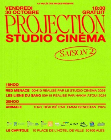 Projection de clôture de l'atelier Le Studio Cinéma, organisée par La Vallée des Images, le 30 octobre à 18 heures au Capitole.