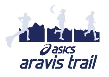 Asics Aravistrail