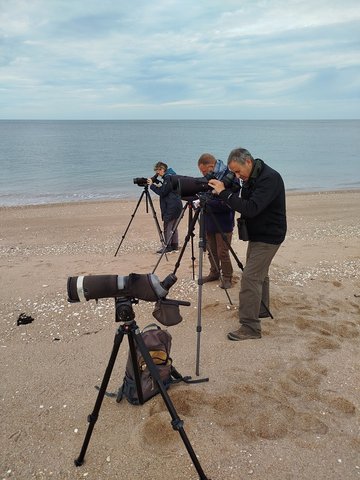 A la découverte des oiseaux de Gatteville-le-Phare