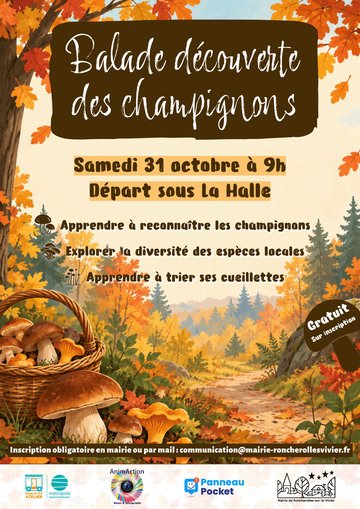 Balade découverte des champignons - Roncherolles-sur-le-Vivier