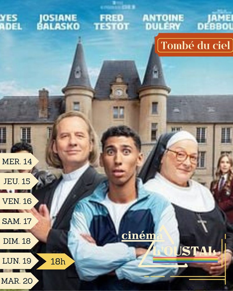 Tombé du ciel, 1h32, comédie, de Mohamed Hamidi Acteurs : Ilyes Djadel, Jamel Debbouze, Josiane Balasko, Fred Testot