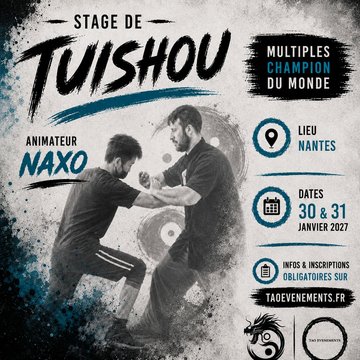 Stage de Tuishou avec Naxo, multiple champion du monde