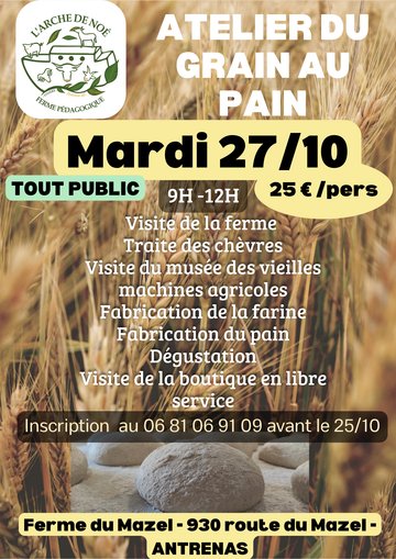 ATELIER DU GRAIN AU PAIN