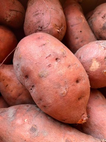 Atelier cuisine à la Maison de solidarité de Bouloc