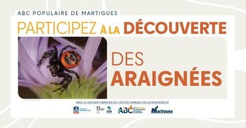 Atlas populaire de la Biodiversité Communale : "Découverte des araignées"