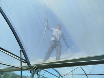 Les fermes maraîchères bio face au changement climatique