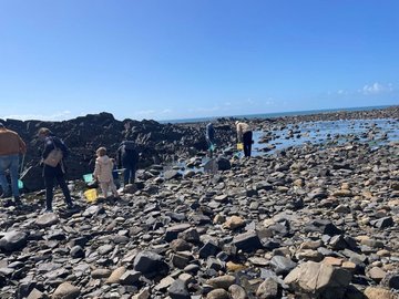Découverte du haut de plage (laisse de mer)