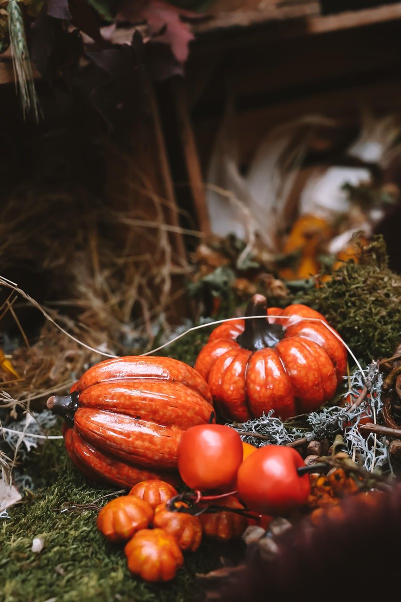 Rencontres d'automne à Lantis