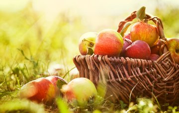 Fête de l'automne