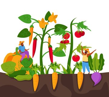 Atelier jardinage : création de bacs en bois
