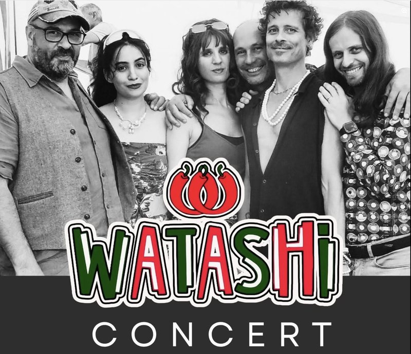 Watashi Covers 60's-80's acoustic