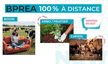 Webinaire - Présentation du BP REA à distance