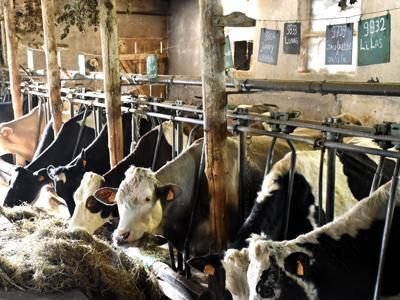 FORMATION Comprendre les écosystèmes microbiens sur sa ferme et fabriquer de la LiFoFer