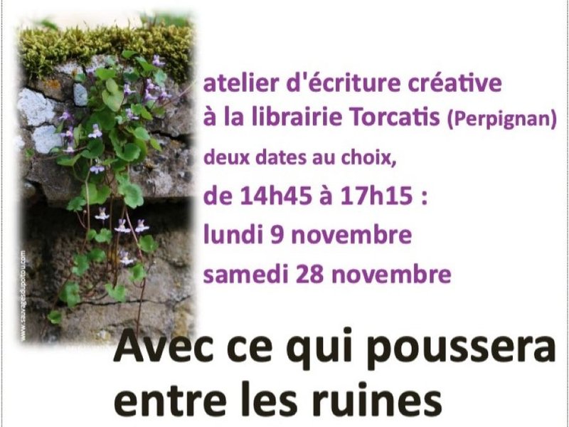 "AVEC CE QUI POUSSERA ENTRE LES RUINES"