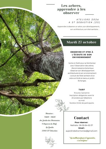 Atelier - les arbres, apprendre à les observer