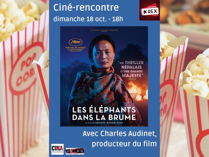 Ciné-rencontre : Les éléphants dans la brume