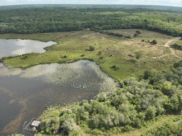 Automne en scène : Sortie nature dans les zones humides de l'étang d'Aureilhan