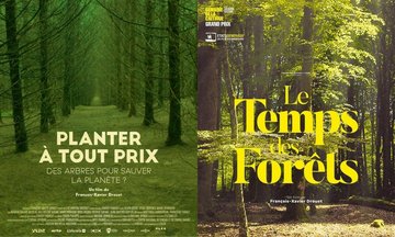 Soirée "La fôret en danger"