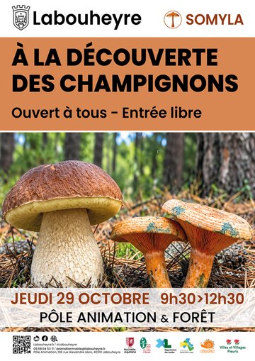 Atelier à la découverte des champignons