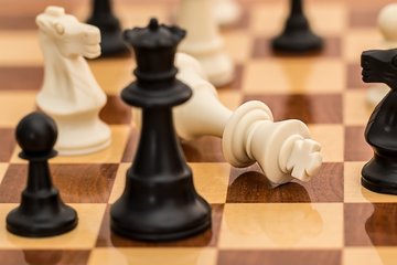 Open international d'échecs