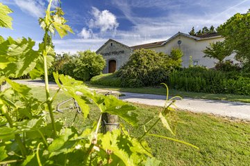 Ici, nos savoir-faire - Visite Domaine du Grand Mayne