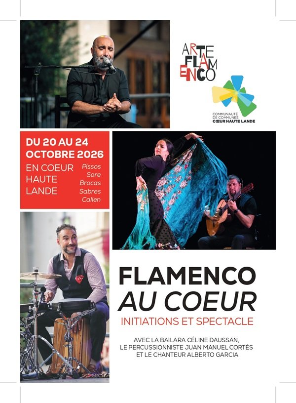 ARTE FLAMENCO AU COEUR // SPECTACLE   COMPLET