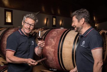 Randonnées dans le vignoble des Graves