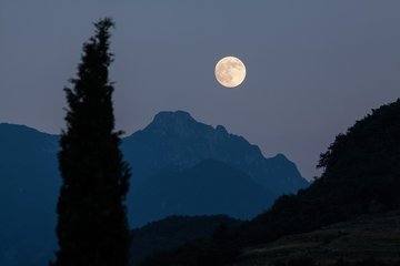 Partie géante de Loups-Garous