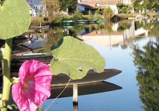 Stage de pêche des carnassiers aux leurres - à Coulon
