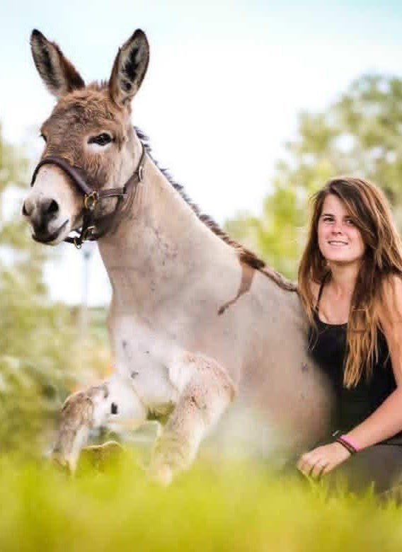 Spectacle de Pulco, l’âne de compétition