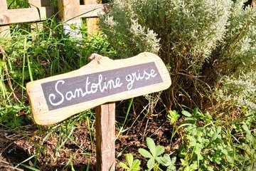 Animation du potager à Terres d'Oiseaux