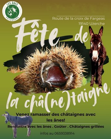 Fête de la Chânetaigne