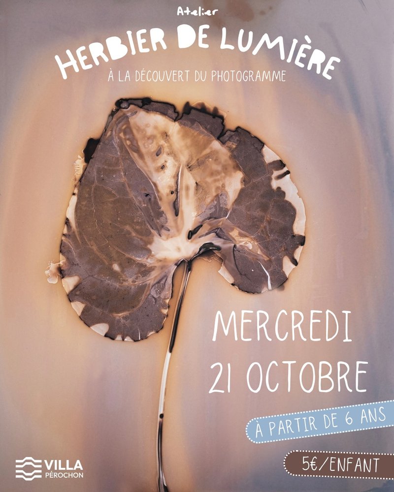 Herbier de lumière, à la découverte du photogramme - à Niort